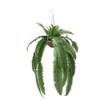 ราคา กระเช้าแขวน เฟิร์นสะไบนาง 60x80 ซม สีเขียว EA (20691943164)