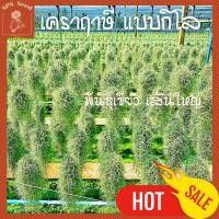 ราคา เคราฤาษี หนวดฤาษี ขายแบบกิโล พวงใหญ่ๆ (15963660674)