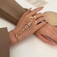 ราคา 1ชุดสร้อยข้อมือและแหวนผู้หญิงผู้ชายวินเทจ Punk แมงป่องพู่ชุดสร้อยคอแหวนกำไลกอธิคเชื่อมต่อแหวนกำไลข้อมือสวยๆนิ้วมือเครื่องประดับ (21255507728)