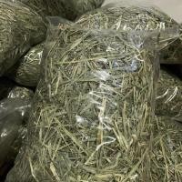 ราคา หญ้าทิมโมธีอัลฟาฟ่าสำหรับกระต่ายและแพรี่ด็อกขนาด1kg (16412020027)