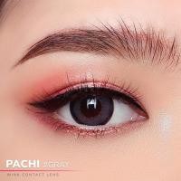 ราคา wink lens pachi เทา ตาล ตาโต (21343722406)