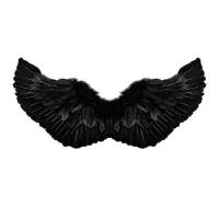 ราคา Boyroom 2023ใหม่ปีกนางฟ้าสำหรับผู้ใหญ่ผู้ชายผู้หญิงปีกขนนกหรูหราพร้อมเครื่องประดับชุดแต่งกายวันฮาโลวีนสายรัดยางยืด (19715731203)