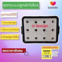 ราคา ชุดปลูกผักสลัด ขนาด12รู ชุดทดลองปลูกผักไฮโดรโปนิกส์ ชุดทดลองปลูกผักไร้ดิน ชุดทดลองปลูกผักน้ำนิ่ง (15161732106)