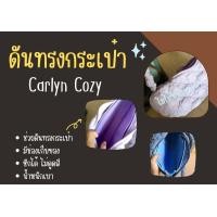 ราคา ดันทรงกระเป๋า Carlyn Cozy จัดระเบียบ และดันทรงกระเป๋า (18497676132)