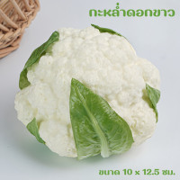 ราคา ผักโมเดล ผักพลาสติก ผักปลอม ผักผลไม้ปลอม สำหรับตกแต่งร้านอาหาร แต่งบ้าน แต่งร้านค้า (21144578428)