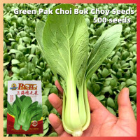 ราคา Organic High Yield การงอกอย่างรวดเร็ว 500 เมล็ด Pak Choi Seeds เมล็ดพืชผักคุณภาพสูงสำหรับสวน เมล็ดบอนไซสำหรับปลูกผัก White Bok Choi Seeds เมล็ดพืชผัก ต้นกล้าผักที่เติบโตอย่างรวดเร็ว ต้นกล้าผักสำหรับขา