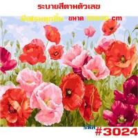 ราคา พร้อมส่ง รหัสชุด2 รูปวาด ภาพวาด ภาพวิว HOME DIY ภาพวาด ระบายสี ภาพวาดสีน้ำมัน ภาพระบายสีตามตัวเลข ขึงเฟรมไม้ Nextone (19976814205)