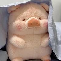 ราคา ETJGFHY Lulu ตุ๊กตาหนานุ่มหมูตัวใหญ่ที่กอดได้ปลอกหมอนตุ๊กตาของขวัญวันเกิดหมูตะกละสำหรับเด็กผู้หญิง (20849937810)