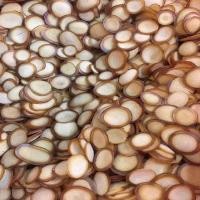 ราคา ขี้ผึ้งบริสุทธิ์เขากวางกวางซิก้า Jilin หั่นทั้งชิ้นหัวเขากวางแบบน้ำซุปแห้งแช่ในไวน์แช่ในน้ำ Gratis Ongkir (19799817697)