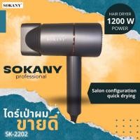 ราคา Hair Dryer ไดร์เป่าผม ไดร์ เครื่องเป่าผม เครื่องเป่าผมไฟฟ้าไอออน (20336319420)