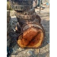 ราคา KDAUZ แผ่นไม้ประดู่ แผ่นไม้ ท็อปไม้ ไม้แผ่นเดียว แผ่นไม้ทำโต๊ะ แผ่นไม้ทำเก้าอี้ โต๊ะกาแฟ โต๊ะข้าง โต๊ะหัวเตียง ท็อปไม้ (19545535406)