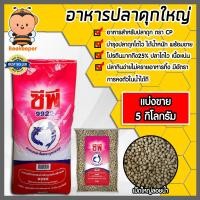 ราคา อาหารปลาดุกใหญ่9922 มีให้เลือก 1 20 กิโลกรัม อาหารปลาดุก อาหารปลาดุกใหญ่ซีพี ปลาดุกโตไว อาหารปลาดุกเม็ดใหญ่ อาหารปลาซีพี (18787122908)