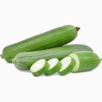 ราคา เมล็ดพันธุ์ บวบหอม เมล็ดบวบหอม 200 เมล็ด 10 แถม 1 คละได้ (21085875351)