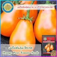 ราคา เมล็ดพันธุ์มะเขือเทศ Orange Pear Tomato Seeds (16596568693)