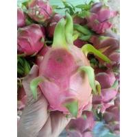 ราคา แก้วมังกร สรรพคุณ กินแก้วมังกรตอนไหนดี แก้วมังกร สีแดง กับ สีขาว ต่างกันอย่างไร ส่วนประกอบของแก้วมังกร (19563391057)