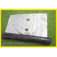 ราคา TREETOOLS หัวเสือ พลาสติกคลุมดิน พลาสติกคลุมแปลง 100ซม x400x35ไมคอนเจาะเดี่ยว30CM สีดำ เงิน จัดส่งฟรี KERRY (425312273)