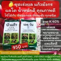 ราคา ปุ๋ยเร่งผลแก้วมังกร ปุ๋ยแก้วมังกร ปุ๋ยบำรุงแก้วมังกร ขยายผล คุณภาพดี ให้ ธาตุ โพแทสเซียม ถึง 40 สำหรับเร่งผลโดยเฉพาะ (12521574001)
