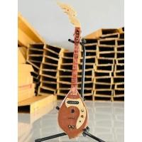 ราคา พิณโปร่งไฟฟ้า ขนาดกลาง เหมาะสำหรับเด็กหัดเล่นและมือใหม่ มีสมุดโน๊ตเพลงแถม จัดส่งฟรี รับประกันคุณภาพ (19087342874)