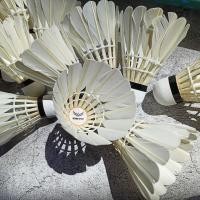 ราคา ลูกขนไก่ แพ็ค 12 GRAND SPORT BADMINTON จุกก๊อก รหัส 372941 (21333776007)