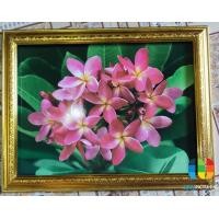 ราคา กรอบรูปกระจก ดอกลีลาวดี สีขมพูสวยงาม ขนาดกรอบ 18 23 นิ้ว (7790506499)