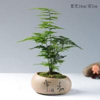 ราคา กระถางต้นไม้อวบน้ำลายหินเทียมหม้อเซรามิคแจกันดินเผาหยาบทำด้วยมือสไตล์ญี่ปุ่นกระถางแก้วสำหรับแขวนใส่ต้นไม้ตกแต่งบ้าน (19638293400)