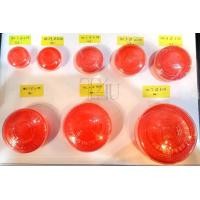 ราคา Ngamsilpshop ตลับทอง ตลับใส่ทอง ตลับพลาสติก กล่องใส่เครื่องประดับ (18408415948)