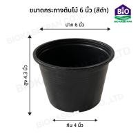 ราคา กระถางต้นไม้พลาสติก กระถางพลาสติก กระถางปลูกต้นไม้ สีดำ ขนาด 2 5 3 4 5 6 8 10 12 15 17 นิ้ว (20000584397)