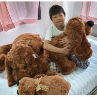 ราคา ตุ๊กตาหมาหมอบ ขนนุ่ม น่ากอด 3 แบบ ขนาดใหญ่ L และ XL (13364016174)