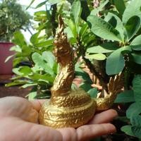 ราคา ลดทั้งร้าน พระรูปหล่อ มวลสารแร่เหล็กน้ำพี้ พระรูปหล่อพญานาค พญานาคราช (19214769443)