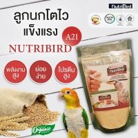 ราคา อาหารลูกป้อน NutriBird A21 ฝาเขียว แบ่งบรรจุ 200 กรัม อาหารลูกนก สำหรับลูกป้อนทุกสายพันธุ์ นกแก้ว นกกรงหัวจุก นกเขา นกพิราบ นกบินหลา (21033894519)