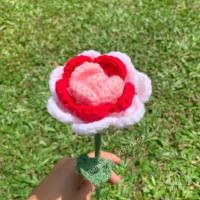 ราคา ดอกกุหลาบไหมพรม พร้อมจัดส่ง งานไหมพรม ของขวัญปัจฉิม (21253398146)