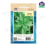 ราคา เมล็ดผักใบ กระเพรา โหระพา แมงลัก ผักเสี้ยน ผักชีลาว ผักชี ผักโขมใบกระ ผักโขมแดง ผักกาดหอมเมล็ดขาว ผักกาดหอม เจียไต๋ (18538566609)