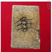 ราคา พระสมเด็จหลังก้างปลา พระสะสม พระเก่า พระกรุ พระเครื่อง jaeiamulrts k4 (20149772015)