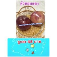 ราคา หอมแดงปลอม ราคาต่อ 1 ลูก วัสดุผลิตจากโฟม (10021735242)