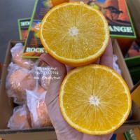 ราคา ส้มเช้งน้ำผึ้ง ไซส์ XL 26 28 ลูก น้ำหนัก 4 5 kg (21336647600)
