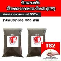 ราคา พีทมอส คลาสแมน ทีเอส2 TS2 ขนาด500กรัม Klasmann ปุ๋ย ดินเพาะปลูก ดินเพาะกล้า ดินปลูก ดิน ดินอินทรีย์ ดินเพาะ ดินปลูกพืช ดินเพาะเมล็ด AK (15087456589)