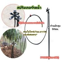 ราคา สปริงเกอร์ มินิสปริงเกอร์ พร้อมก้านปักยาว 50 ซม และสายไมโครยาว 1 เมตร (21350318540)