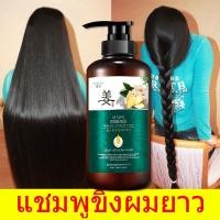 ราคา แชมพูขิงเพียว แชมพูแก้ผมร่วง แชมพูลดผมร่วง ขิงช่วยป้องกันผมร่วง แชมพูปลูกผม แชมพูเร่งผมยาว แชมพูสระผม (17380255648)