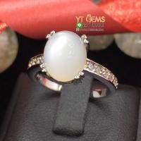 ราคา แหวนมุกดาหาร มูนสโตน แหวนเงินแท้ ชุบทองคำขาว พลอยมุกดาหารแท้ YTG 8073 (17457379127)