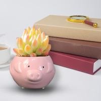 ราคา กระถางดอกไม้เซรามิกจิ๋วกระถางต้นไม้รูปการ์ตูนน่ารักสำหรับปลูกต้นไม้อวบน้ำ hiasan Taman rumah (21357004488)