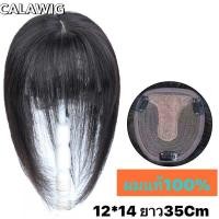 ราคา แผ่นปิดผมบางผมแท้100 หนังหัวหน้าม้าซีททรู สี ดำธรรมชาติ 0101 32 cm calawigs ปิดผมบางแท้100 แบบทอมือ (18428696582)