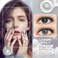 ราคา คอนแทคเลนส์ Eyeshare Gray Wink ขนาดมินิ ขายดี cosplay คอนแทคเลนส์สี (19912066607)