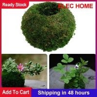 ราคา Laputa มอสแบบจำลอง Ball Bonsai Plant กระถางดอกไม้ DIY สวนตกแต่งโต๊ะที่บ้าน (9811112254)