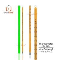 ราคา เทอร์โมมิเตอร์ เทอร์โมมิเตอร์วัดอุณหภูมิ แท่งแก้ว ไส้ปรอท Hg Thermometer มีทุกช่วง Thermometer 0 1000 200 องศา C ปรอท (17887675186)