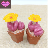ราคา กระบองเพชรเซรามิก กระบองเพชรปลอม แคคตัสเซรามิก เซรามิค จัดสวนถาด สวนถาด ของตกแต่งบ้าน จัดสวนจิ๋ว ของจิ๋ว ราคาต่อ 1 อัน (16756767158)