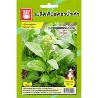 ราคา เมล็ดพันธ์ุ กวางตุ้งดอกฮ่องกง บิ๊กเขียว ตราน้ำเต้า (19348478056)