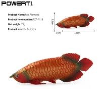 ราคา หุ่นจำลองโมเดลสัตว์ทะเลพิพิธภัณฑ์สัตว์น้ำที่สมจริงการศึกษาทางปัญญาของเล่นสำหรับเป็นของขวัญ (21165134919)