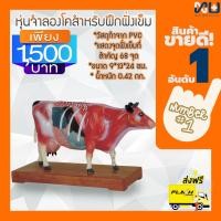 ราคา Anatomy model NK 603 หุ่นจำลองวัวสำหรับฝึกฝังเข็ม (5357106)