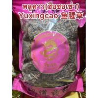 ราคา พลูคาว ฮือชอเช่า Yuxingcao 鱼腥草 พลูคาว พลูคาวแห้ง ผักคาวทอง คาวตอง ผักคาวตองหื่อเซ็งเช่า ฮือชอเช่า ฮือแชเช่า บรรจุ1โลราคา160บาท (18952007051)