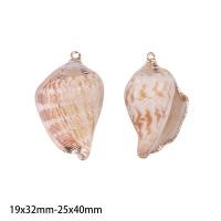 ราคา 2ชิ้นจี้เปลือกหอยที่สวยงามและสวยงามเปลือกหอยธรรมชาติตัวเชื่อมต่อเปลือกหอยสำหรับเครื่องประดับสร้อยคอทำ DIY จี้สร้อยข้อมือ (17288815553)